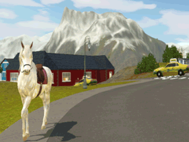 misfitsims:  There’s a horse in my sims’ town that has been walking backwards