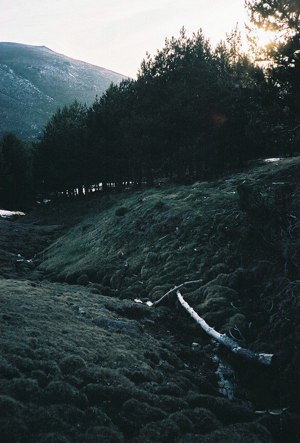 brutalgeneration:PdLM IV by sotomeior on Flickr.
