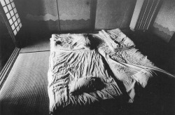 tamburina:  Nobuyoshi Araki, Sentimental Journey