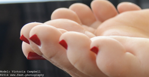 The Pedi-Connoisseur