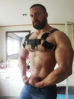 mindwipedjock:  when it showed up in the mail, he had no idea what it was or what it meant. the word on the card said “bigdumbjock”. his mind and eyes both flickered, then he put on his new harness with efficient and obedient speed. his only thought