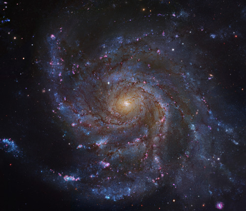 M101 - Pinwheel Galaxy Various Views