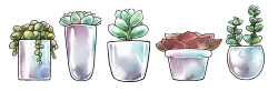 underbirdart:  Some big transparent succulents for all your nature blog needs 