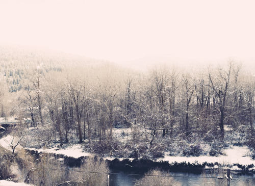 lifeinmotion84:  Winter is coming. 