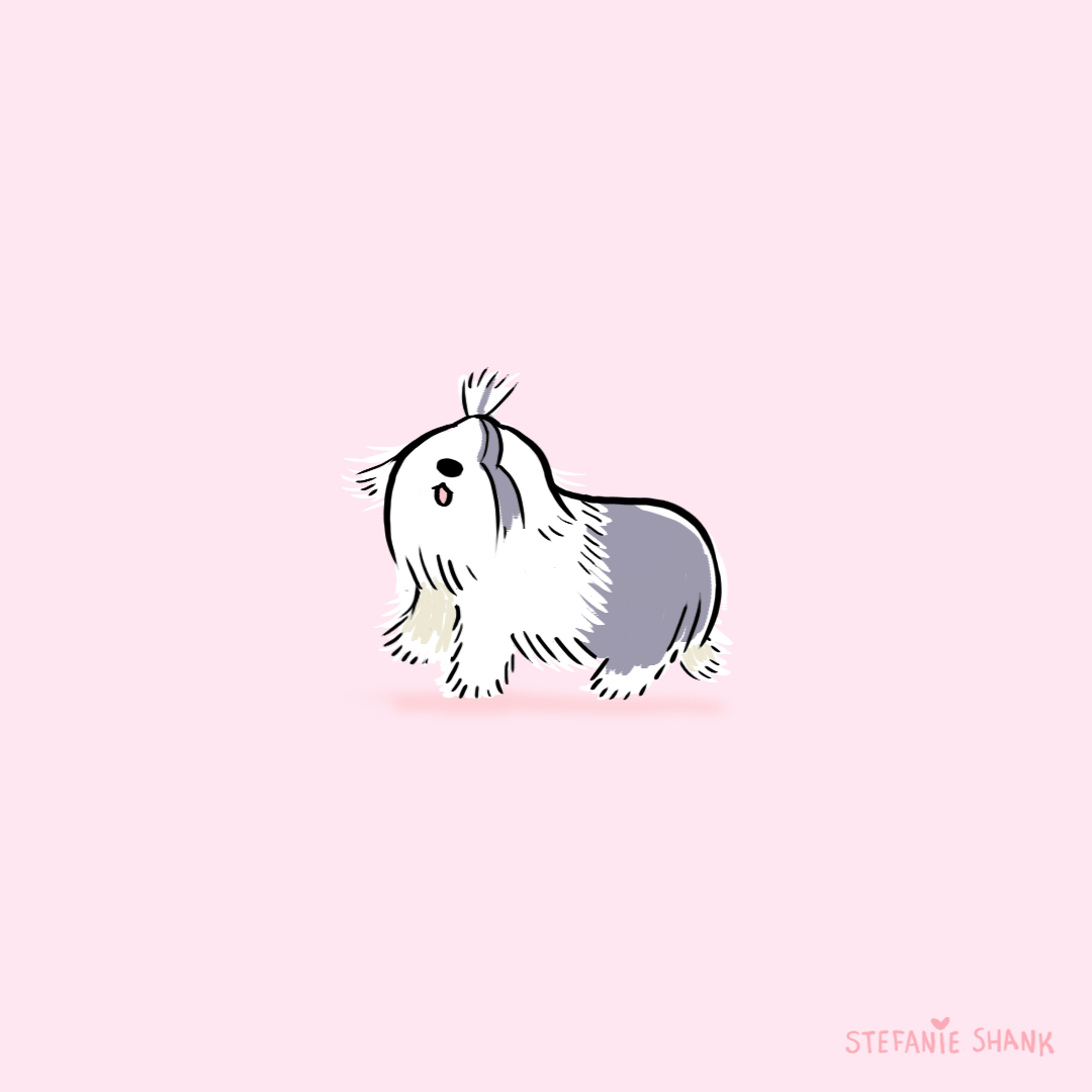 stefanieshank: sheepdog blog / instagram 
