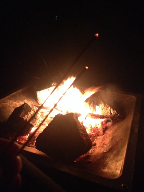 XXX aingealmilis:  Bonfire night is the life photo