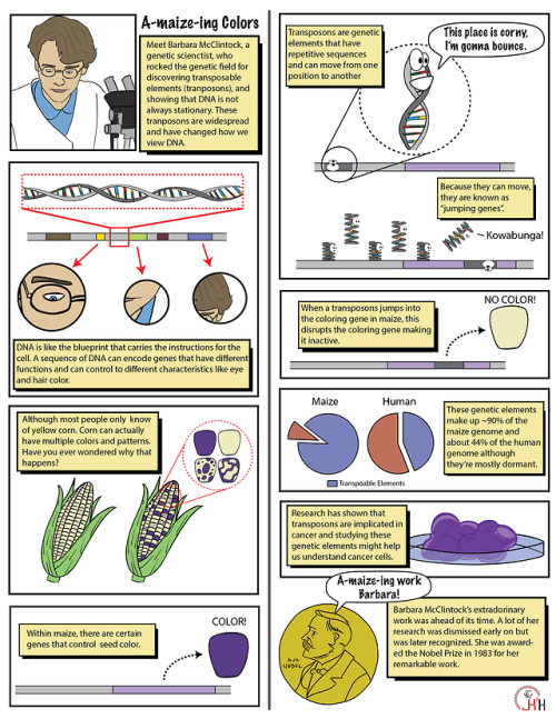 To close out a wonderful Women’s History Month, we would like to introduce you to Barbara McClintock