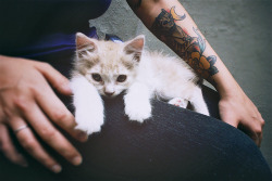 nonelikerae:  Tattoo blog x