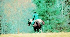 lefty-blue:Ouat Meme - Ten Characters [10/10]