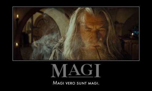 Magi vero sunt magi.Wizards after all are wizards.(From Hobbitus Ille: Legamus!)