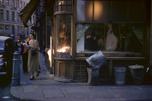 misswallflower: London, 1953, by Inge Morath