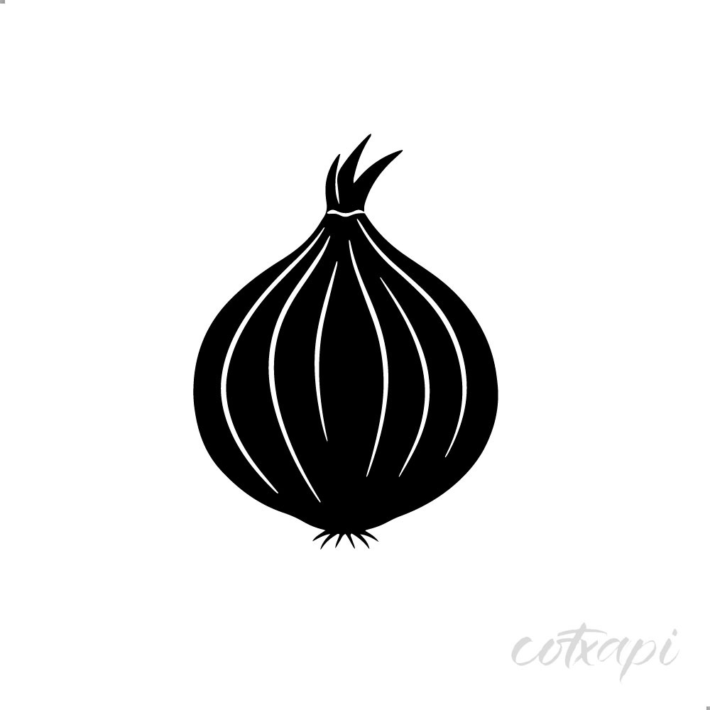 Onion Icon Set in Vector Outline Illustration