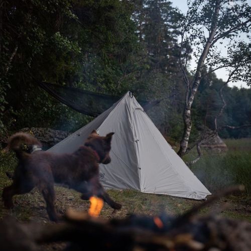 #Gowith1TG “A wild bear cub running around our camping ground.”  #OneTigris