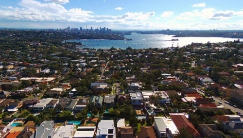 #sydney #vaucluse #sydneybay #harbourbridge #cbd #drone #WeAreParrot #dronestagram #droneofficial #d