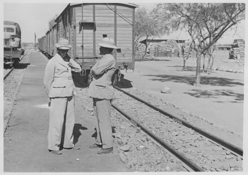 pitchpine: Some more photos from work, this time a trip to Ethiopia in January, 1944. From all the p