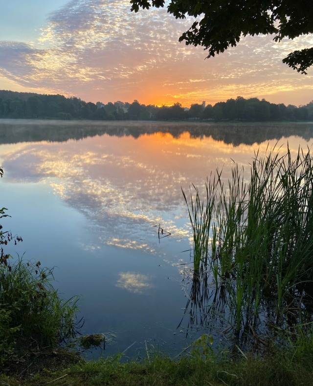 geopsych:An August sunrise.