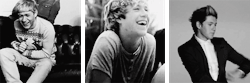 the-boys-who-stole-our-hearts:  nialler-is-beautiful: