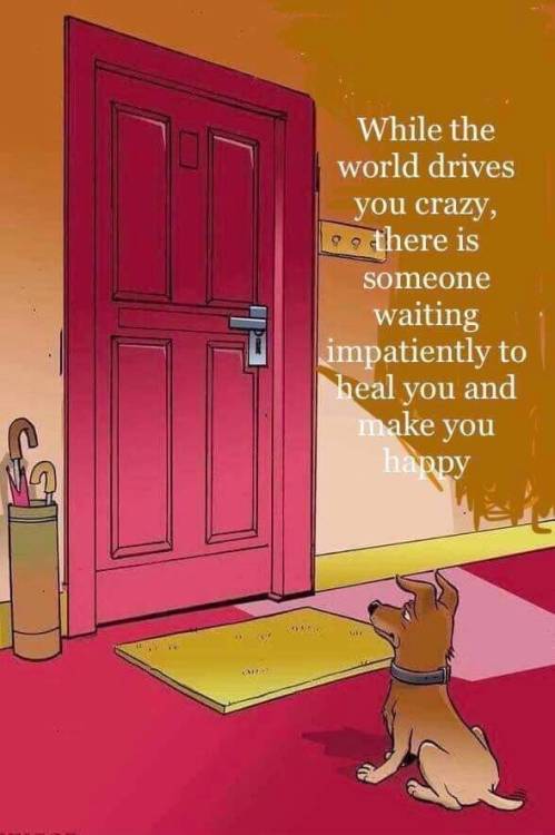 real thing