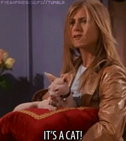 just-for-grins:  Friends ❤