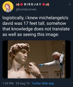 i-aint-even-bovvered:  tincansamurai:  probsjosh:  randomklutz:   themusecalliope:   ultimate-cringelord:   another pic, different angle   ^ important    big boy  michaelangelo could put all that work into perspective tricks and he still couldn’t sculpt