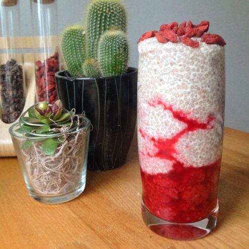 Coconut Chia Pudding with raspberries Just mix chia seeds with coconut milk (1:9 ratio) and put in f