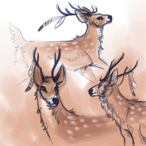 A doodle of Smalldeer with feathers! &lt;333