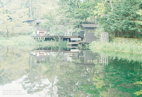 軽井沢散歩（雲場池）