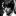 ogjohngirlpaulmccartney:I have fond memories of David in the 60s where I used to
