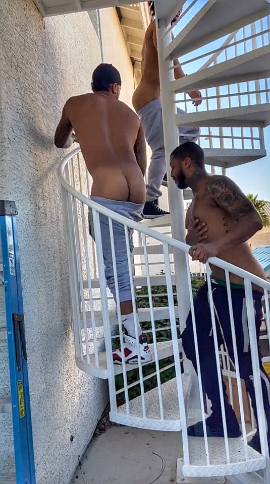 :Latin Papi 🇵🇷🇩🇴 ➡️ @thelatinpapifollow Blaqhomme 