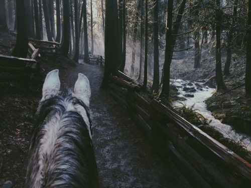 wildlxng: couldn’t decide which I liked more so you get both