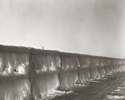 Scène D’hiver À Governors Island, Dans La Baie De New-York, Février 1958.