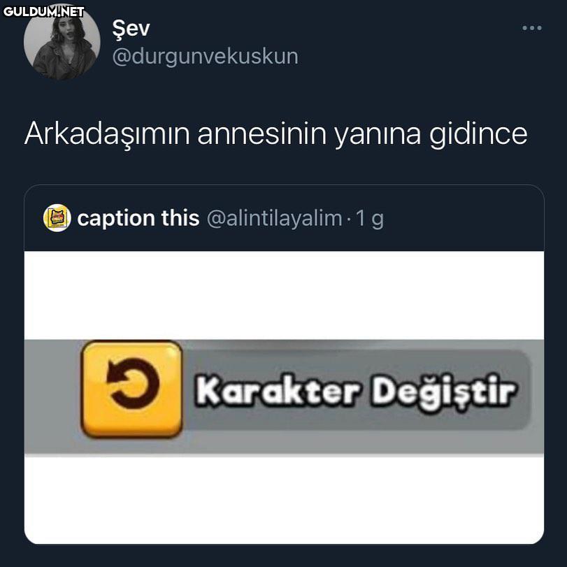 Şev @durgunvekuskun ......