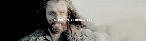 remusjohnslupin:  The Company of Thorin Oakenshield 