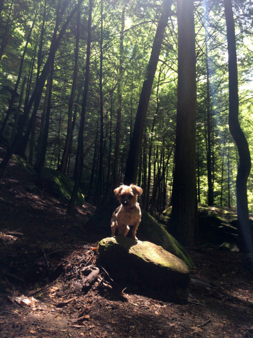 Kylie gave me sixteen years of love and adventure. She loved the beach at the lake more than any oth