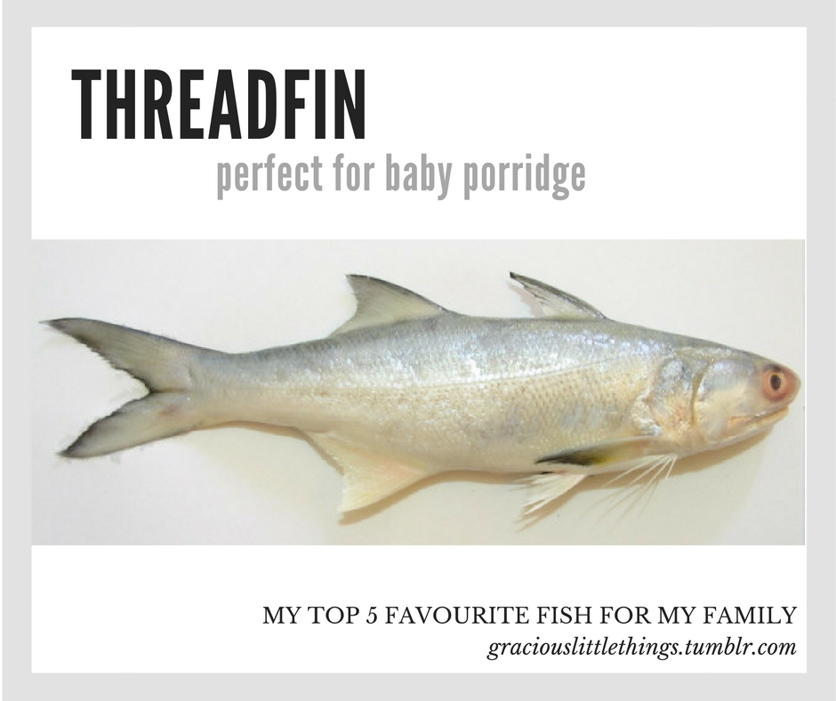 Threadfin fish in malay