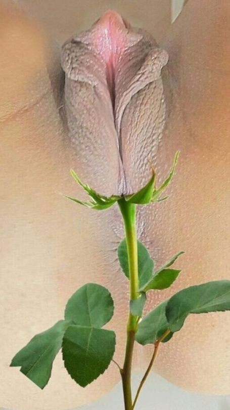 albanybicouple:  