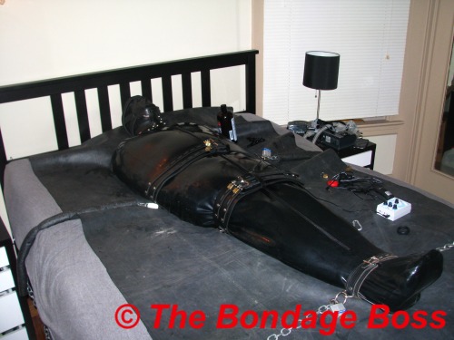 maxatl: thebondageboss:  Thursday December 10, 2015 6:00 PM The canadian rubberpigobject is still se