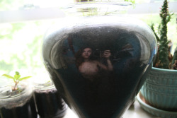 naked-yogi:  naked-yogi: portraits in a cilantro pot reflection featuring apple tree sprouts and cacti self-portraits by Anastasia (please only reblog with caption intact. no reposts). I am going through a massive personal crisis right now, so if you