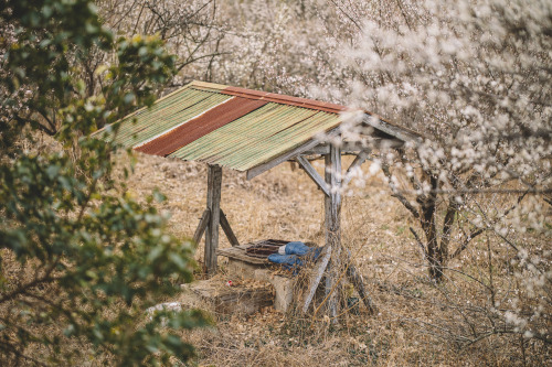 2021-03-04Wondong Plum Farm 1421, Wondong-ro, Wondong-myeon, Yangsan-si, Gyeongsangnam-do, Republic 