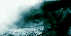 wrathandruin-blog:  Do not speak to me of dragon fire. 
