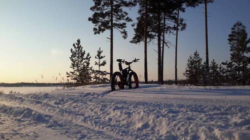 lunabike: Сибирь! #сибирь #покачи #хмао #фэтбайк #закат #зима #снег #сосны #siberia #pokachi #fatbik