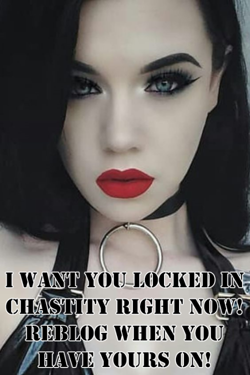 free-bdsm-products: Get your FREE chastity cage HERE!No more hiding from now on! You need to wear a 