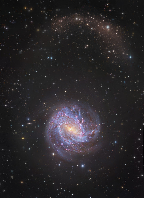 frontal-cortex: M83 Star Streams  Image Credit &amp; Copyright: R. Gendler, D. Martinez-Del