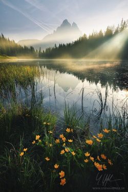 crescentmoon06:     by Stefan Hefele   