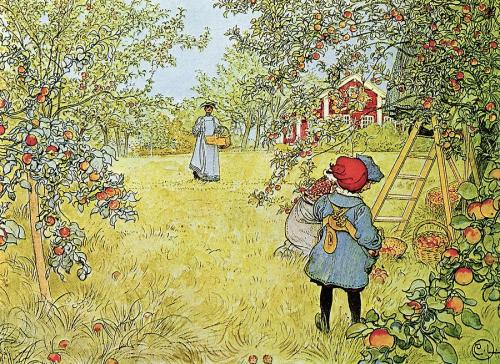 The Apple Harvest (x)Carl Larsson