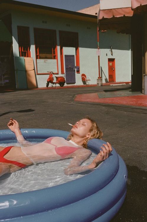 pink-rose-motel: ‍