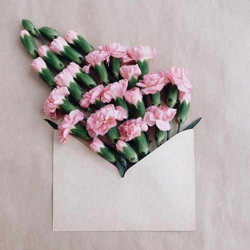 floralls:  envelope series I by anna remarchuk       