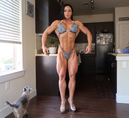 diecastkid2000:Ivana Ivusic