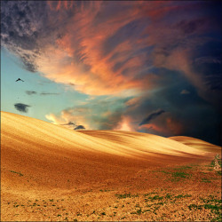opticallyaroused:  Amazing Nature Photography by Katarina Stefanovic 