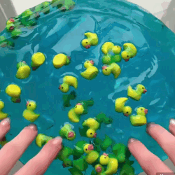 Lotad Stimboard !